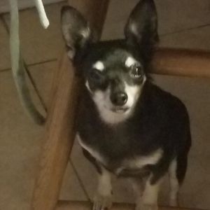 Meet your Posher, Lydia